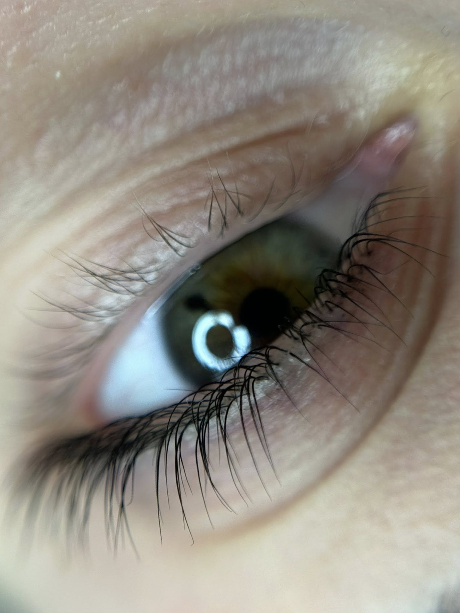 Wimpernlaminierung